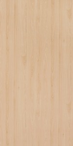 Mangfall Beech