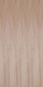 American Maple