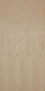 American White Ash